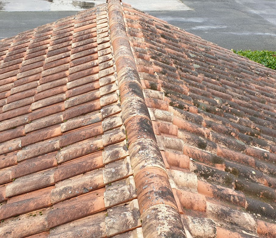 Nettoyage et traitement toiture à Saint-Jean-d'Angely en Charente-Maritime